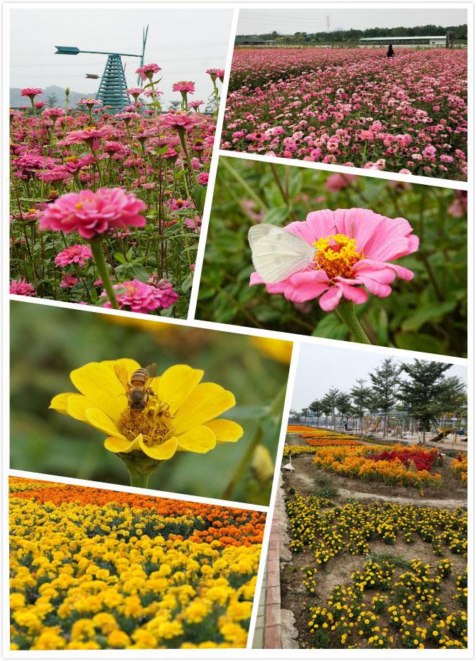 易網(wǎng)科技拓展活動——參觀搶答環(huán)節(jié)1