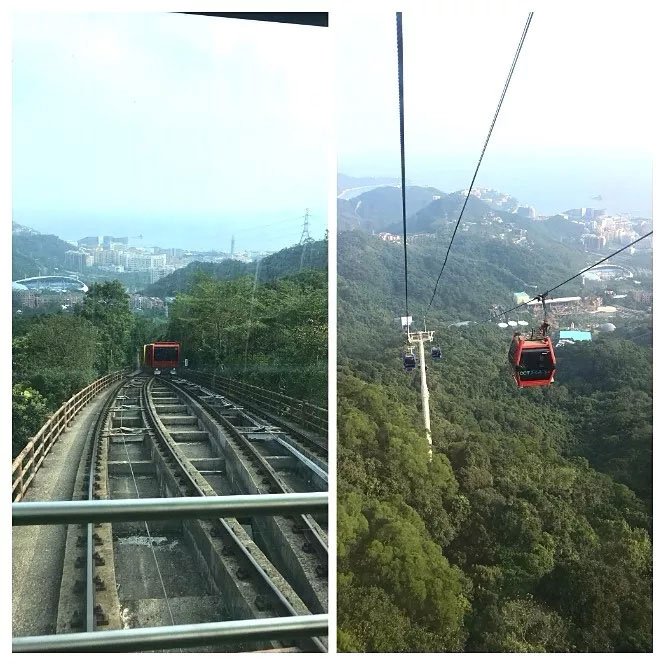 易網(wǎng)科技開展深圳東部華僑城2日團體游-大俠谷云頂觀光