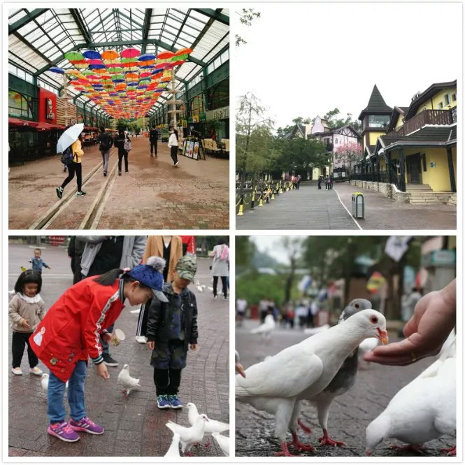 易網(wǎng)科技開展深圳東部華僑城2日團體游-茶溪谷悠閑公園